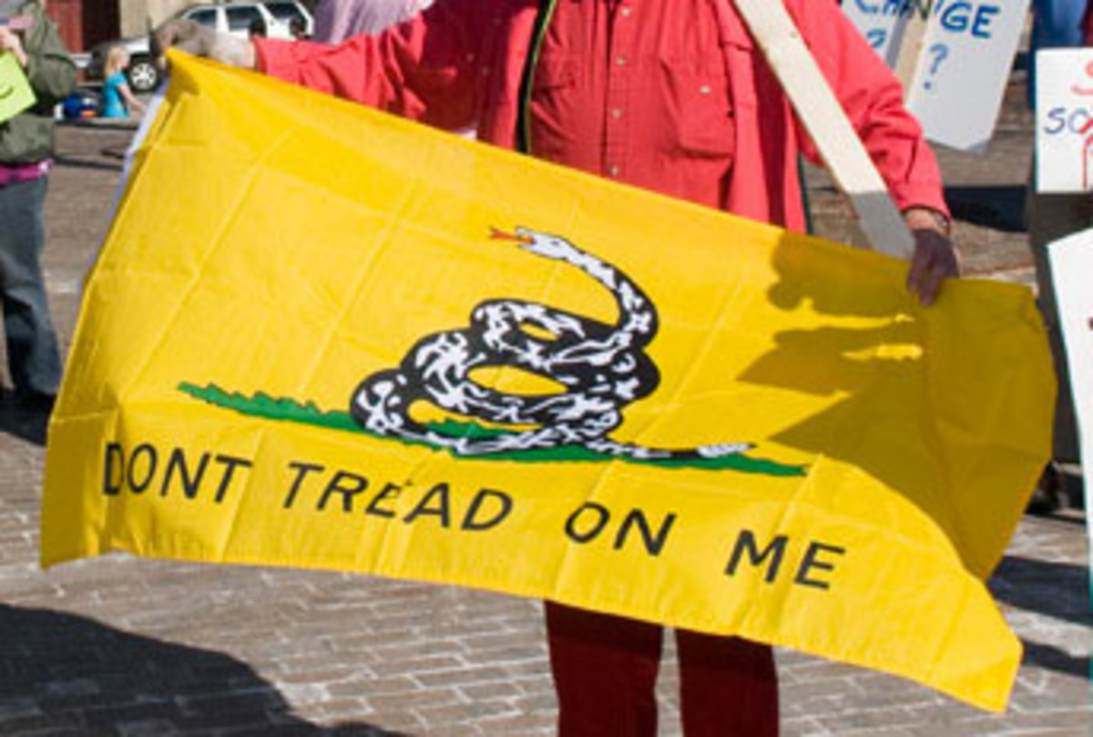 Florida Man Fined For Flying Gadsden Flag Outside Of His Store (Video