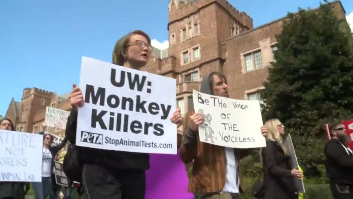 Animal rights testing image