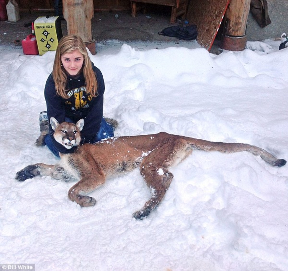 11YearOld Girl Kills Cougar That Was Stalking Her Brother Opposing