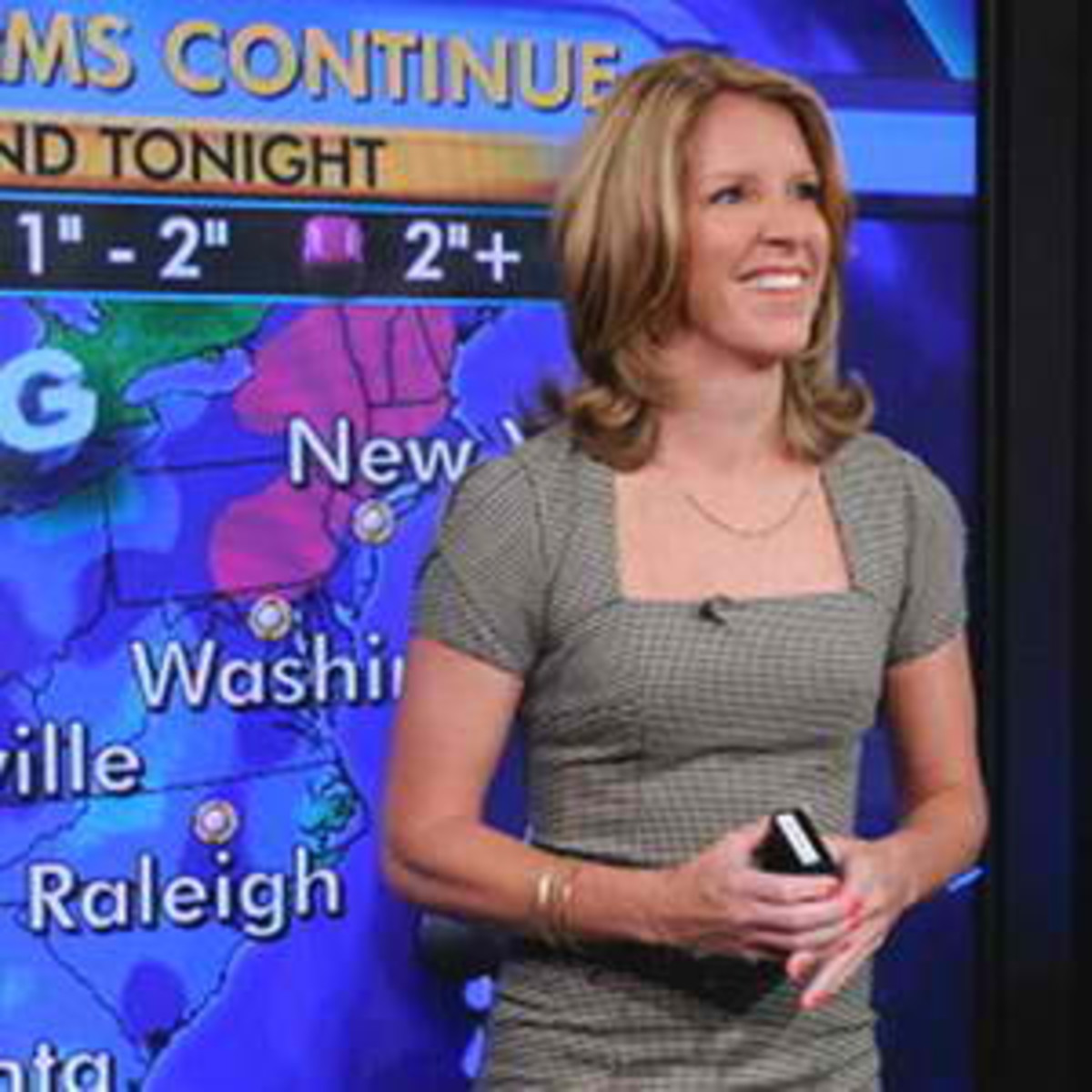weather gal heidi jones arrested for false story how to write a good incident report
