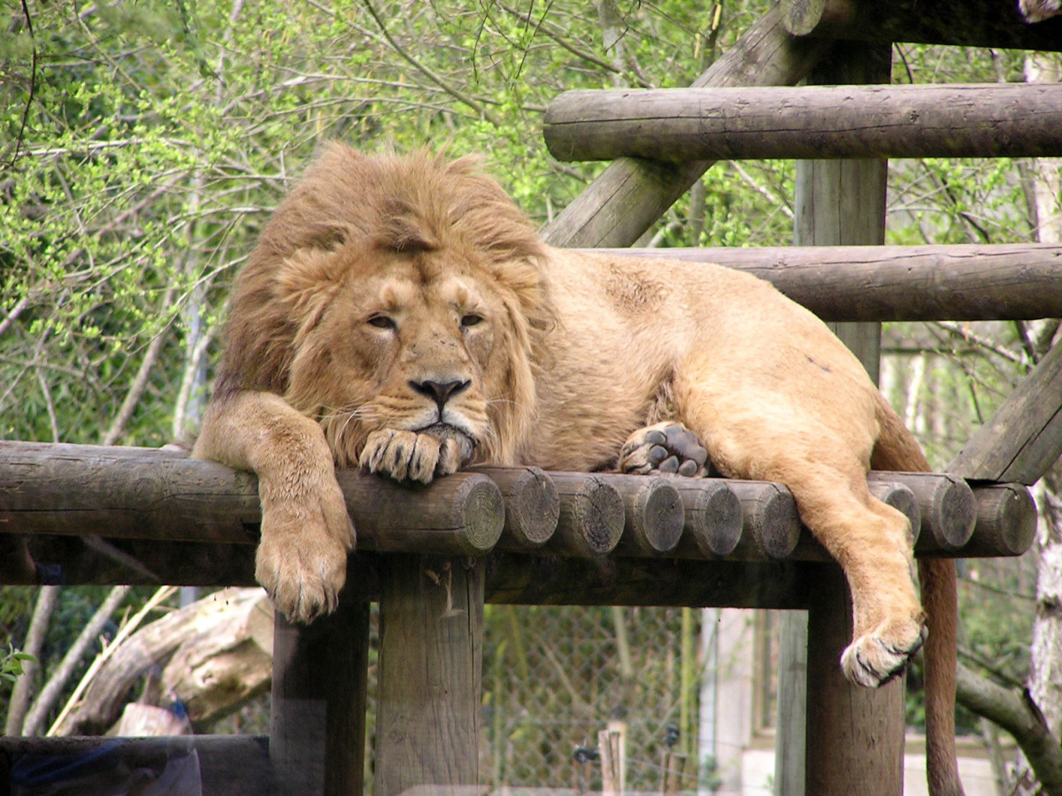 Lions Nature Education Center Lions Nature Education Center