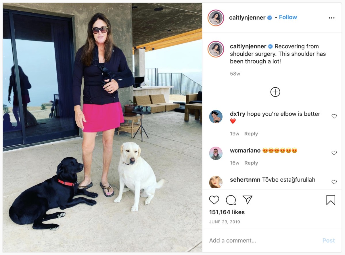 Caitlyn Jenner posing with her dogs on her instagram, Photo Credit: Instagram/Caitlyn Jenner