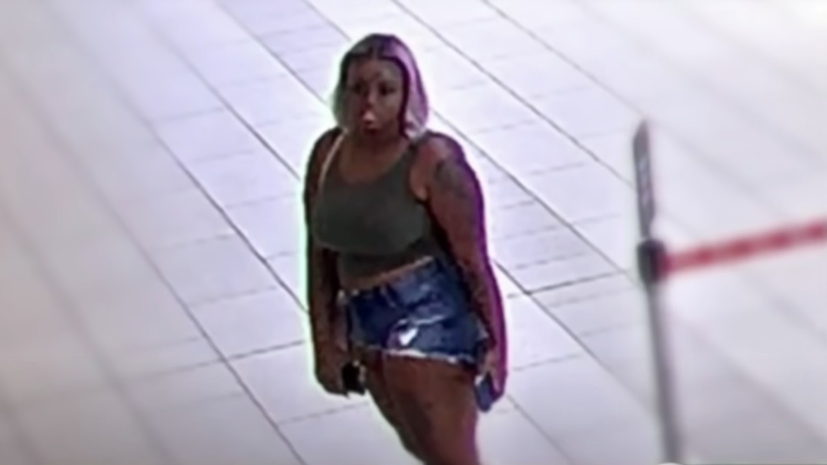 Photo Credit: WFLA News Channel 8