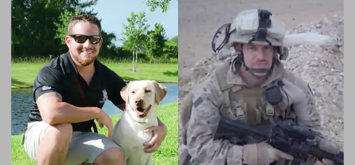 ptsd veteran service dog vest