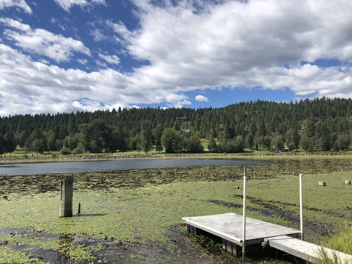 Photo Credit: Twitter/Vanessa Perez - NBC Montana