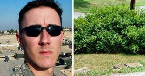 Army Vet Decides To Take His Life After Last Smoke Near Bushes, Then He Hears A Noise - Vimarsana News