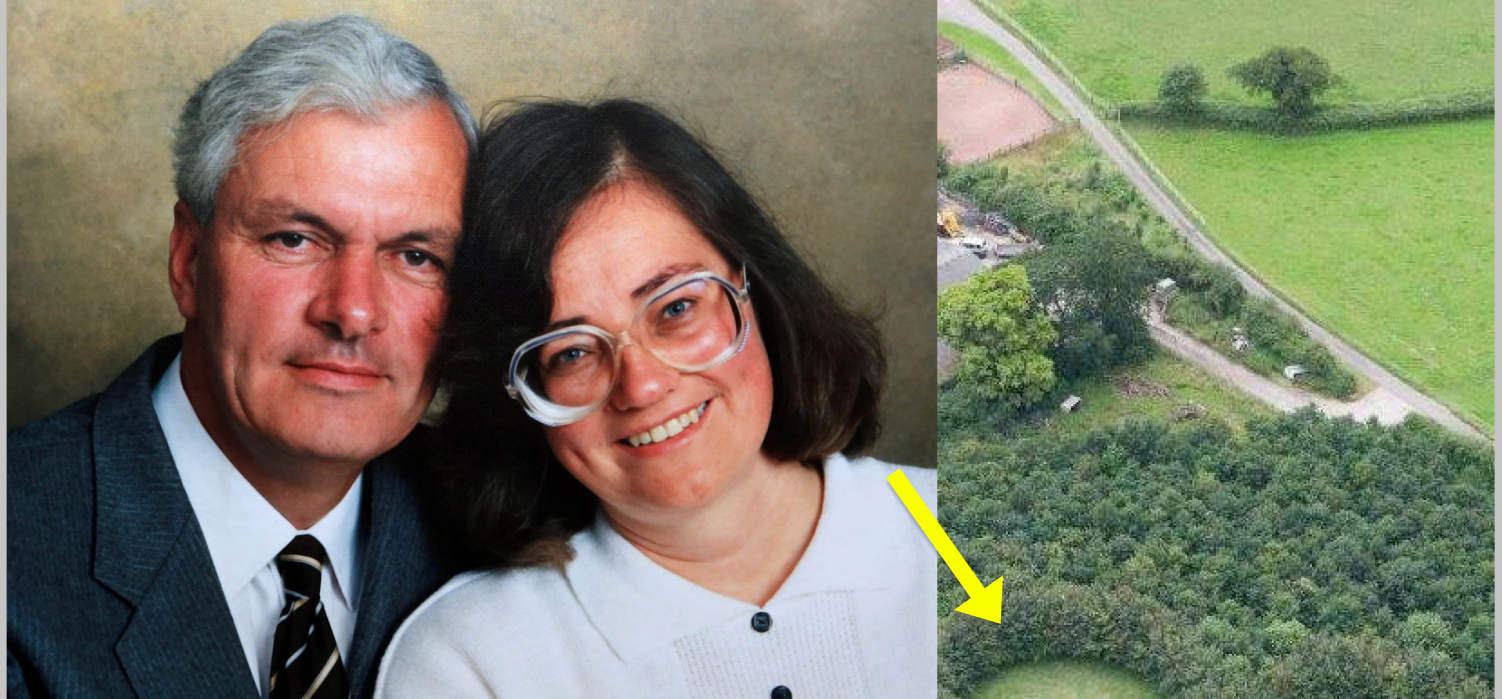 Husband Plants 6000 Trees To Honor Deceased Wife, 15 Years Later Photos Reveal His True Motive - Vimarsana News