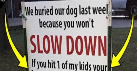 After Dog Gets Hit By Car, Sign Has The Entire Neighborhood Talking - Vimarsana News