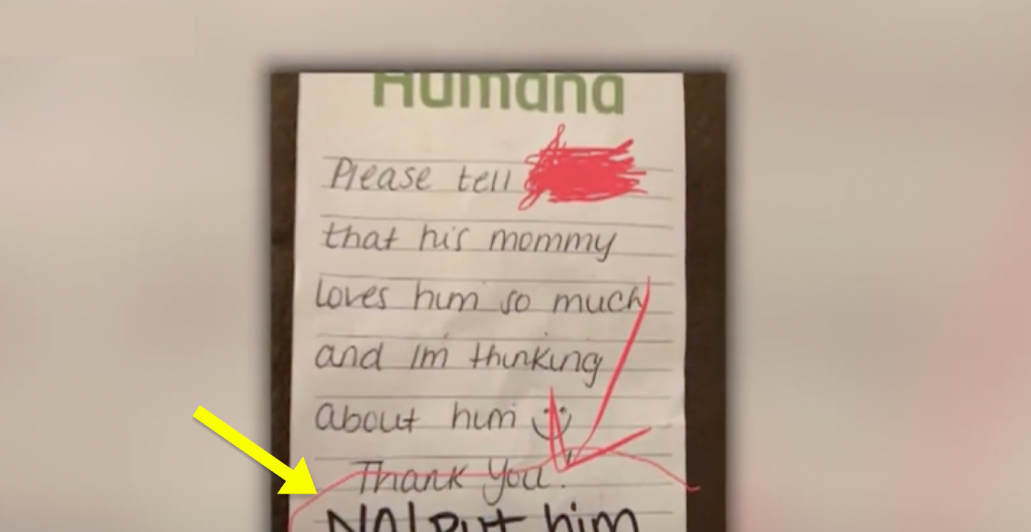 Mother Sends Her Child To Daycare With Note In Lunchbox, Teacher Responds With 'Offensive' Message - Vimarsana News