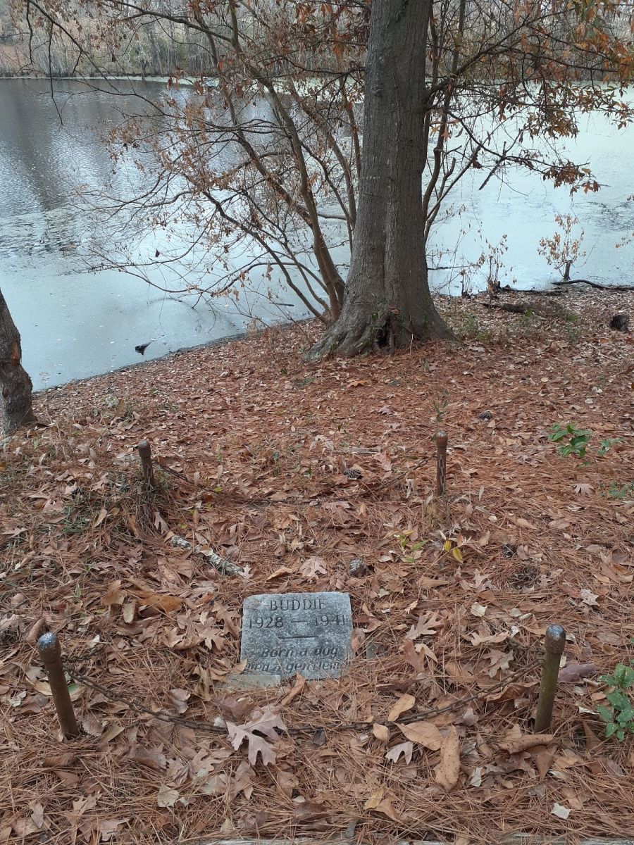 Gravestone for a dog named "Buddie" in a Louisiana park, Photo Credit: Findagrave