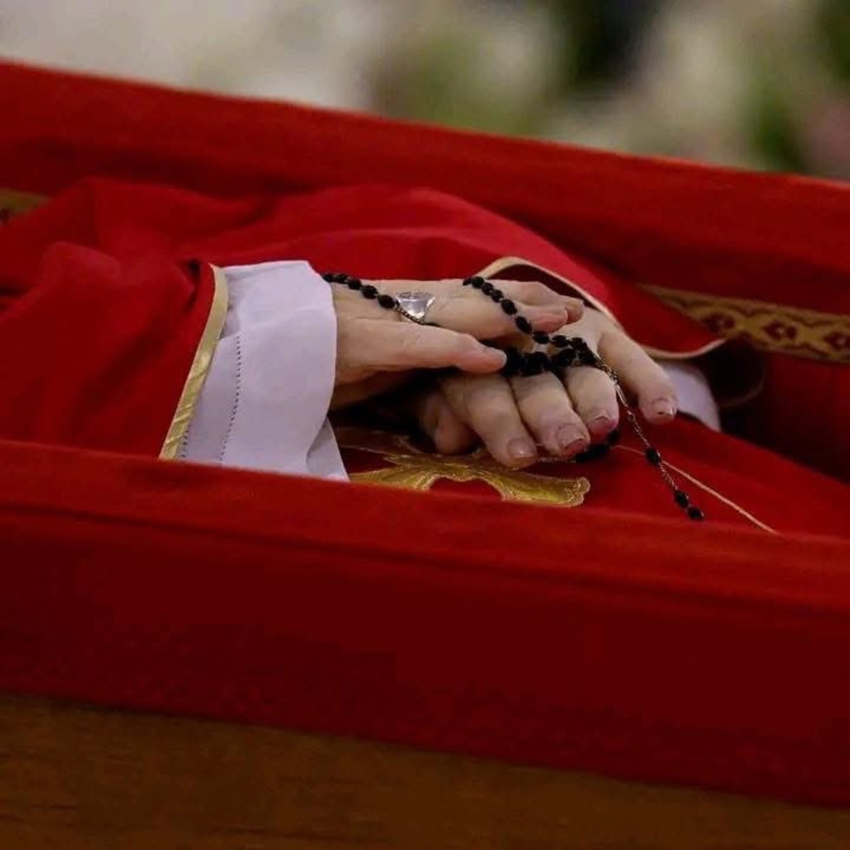 Closeup shot of Pope Francis' hands, Photo Credit: David Pine/X