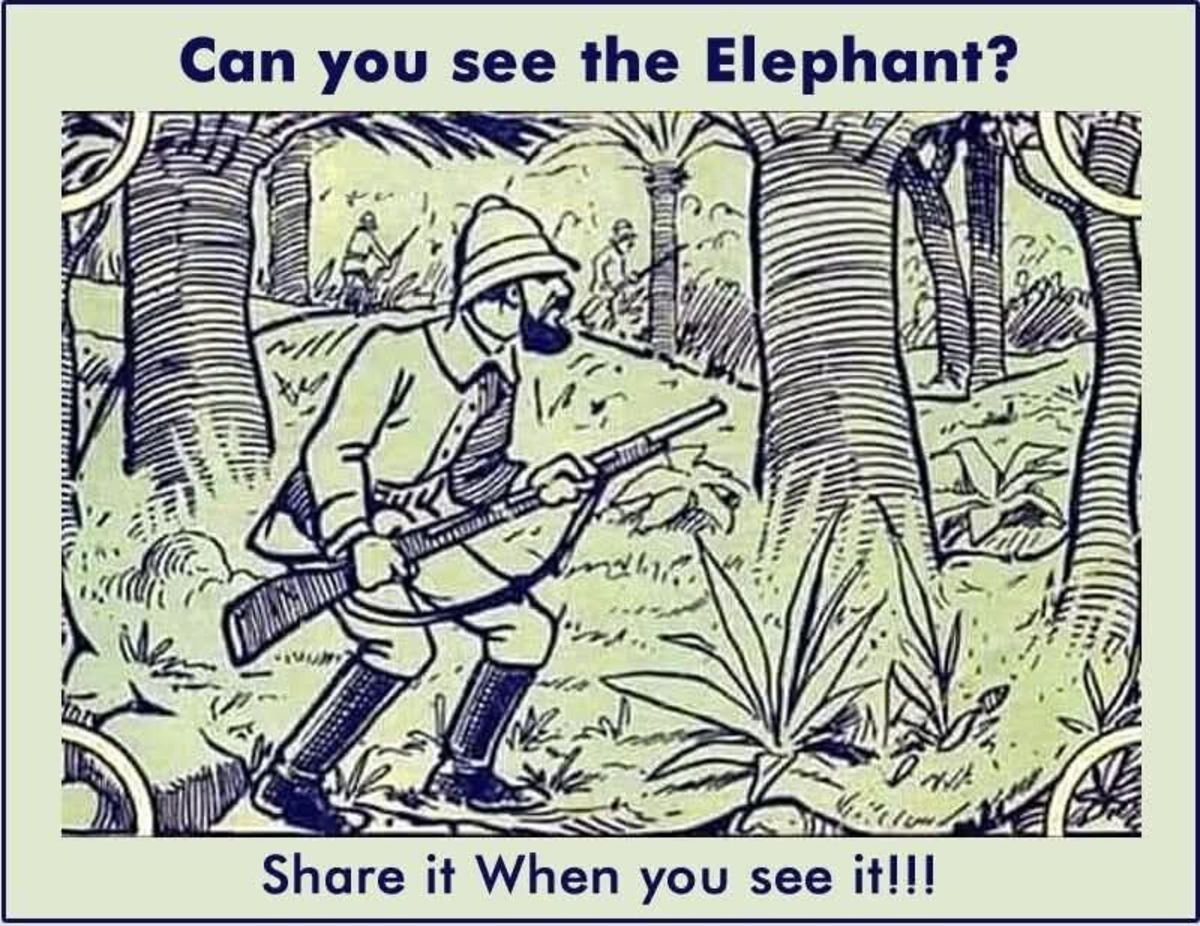 Optical illusion of a hidden elephant, Photo Credit: Minion Quotes/Facebook