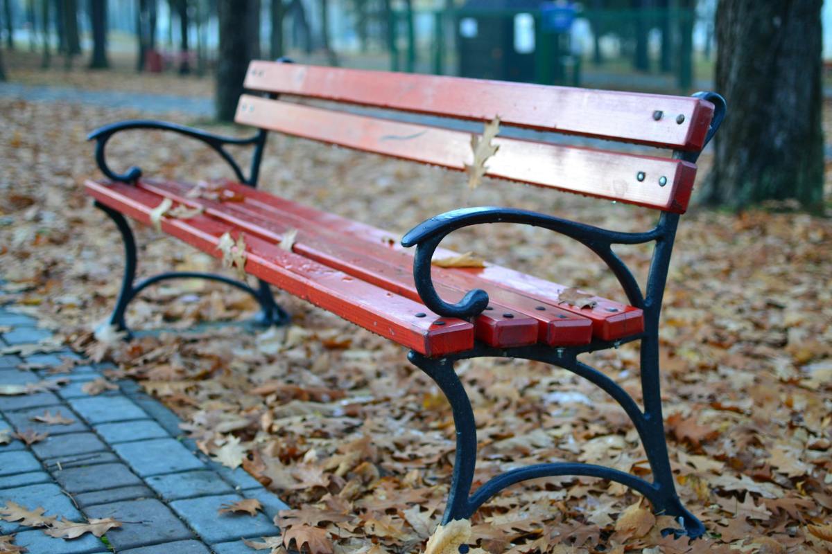 Black and Red Park Bench Near Grey Concrete Pathway, Photo Credit: Pexels