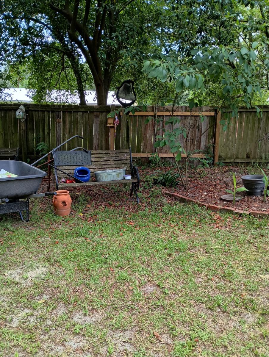 A black cat hiding in a yard, Photo Credit: Reddit