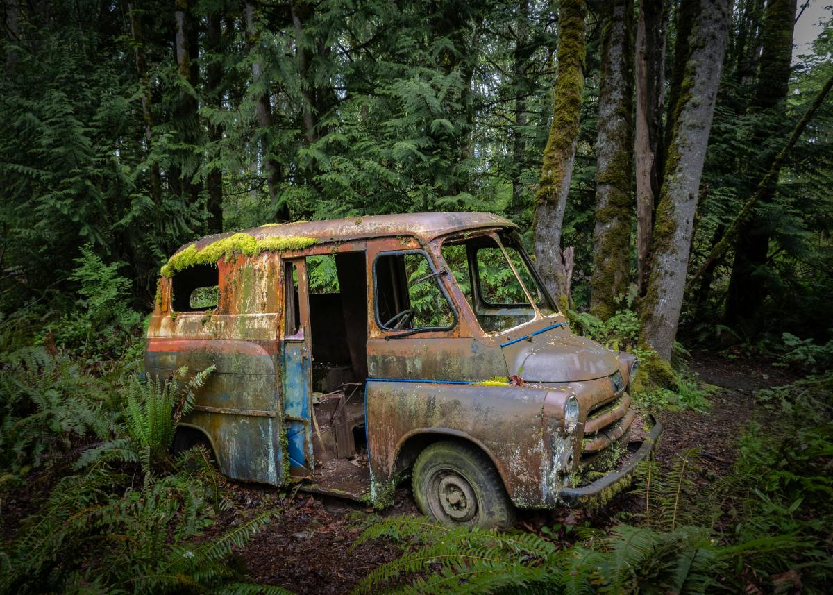 Rusty Van in a Lush Forest Overgrown with Moss, Photo Credit: Pexels