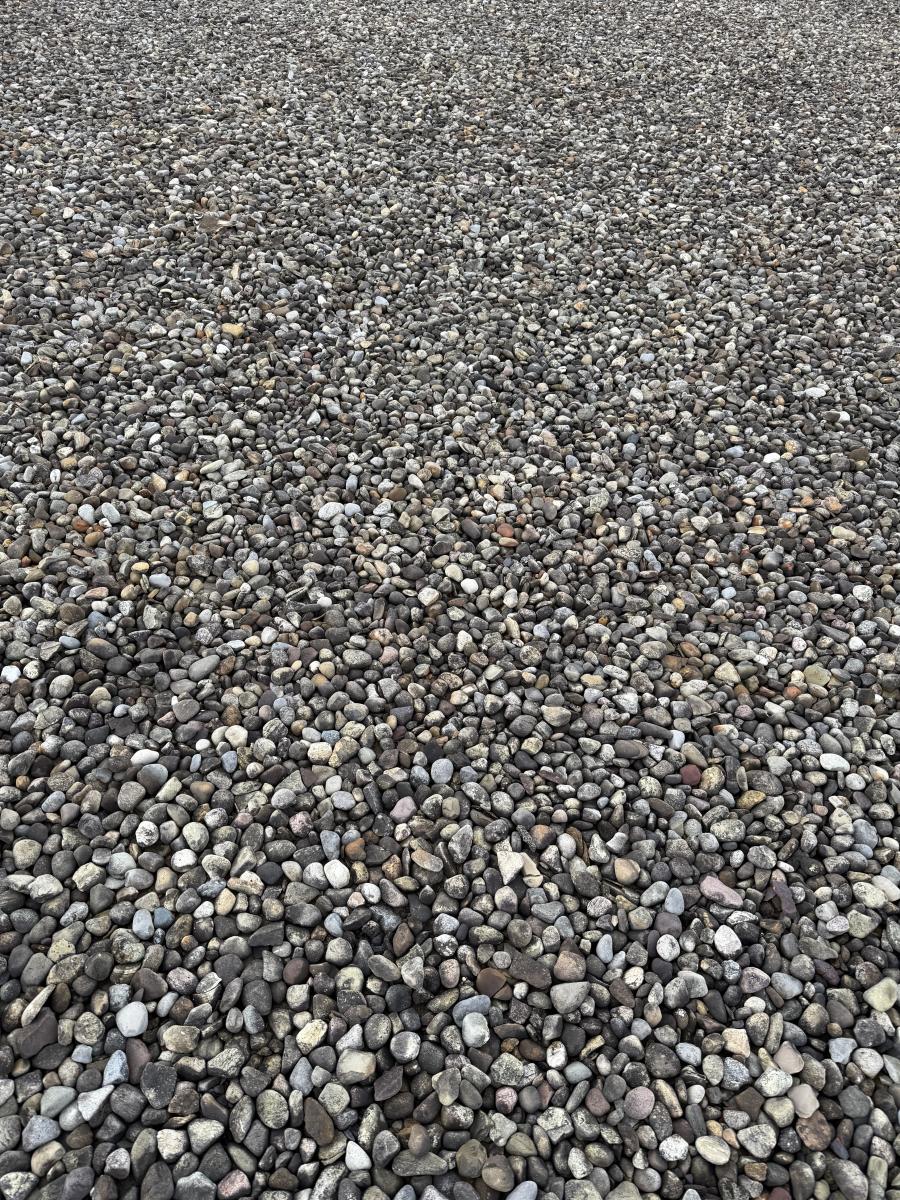 A bird hiding in a sea of pebbles, Photo Credit: Reddit