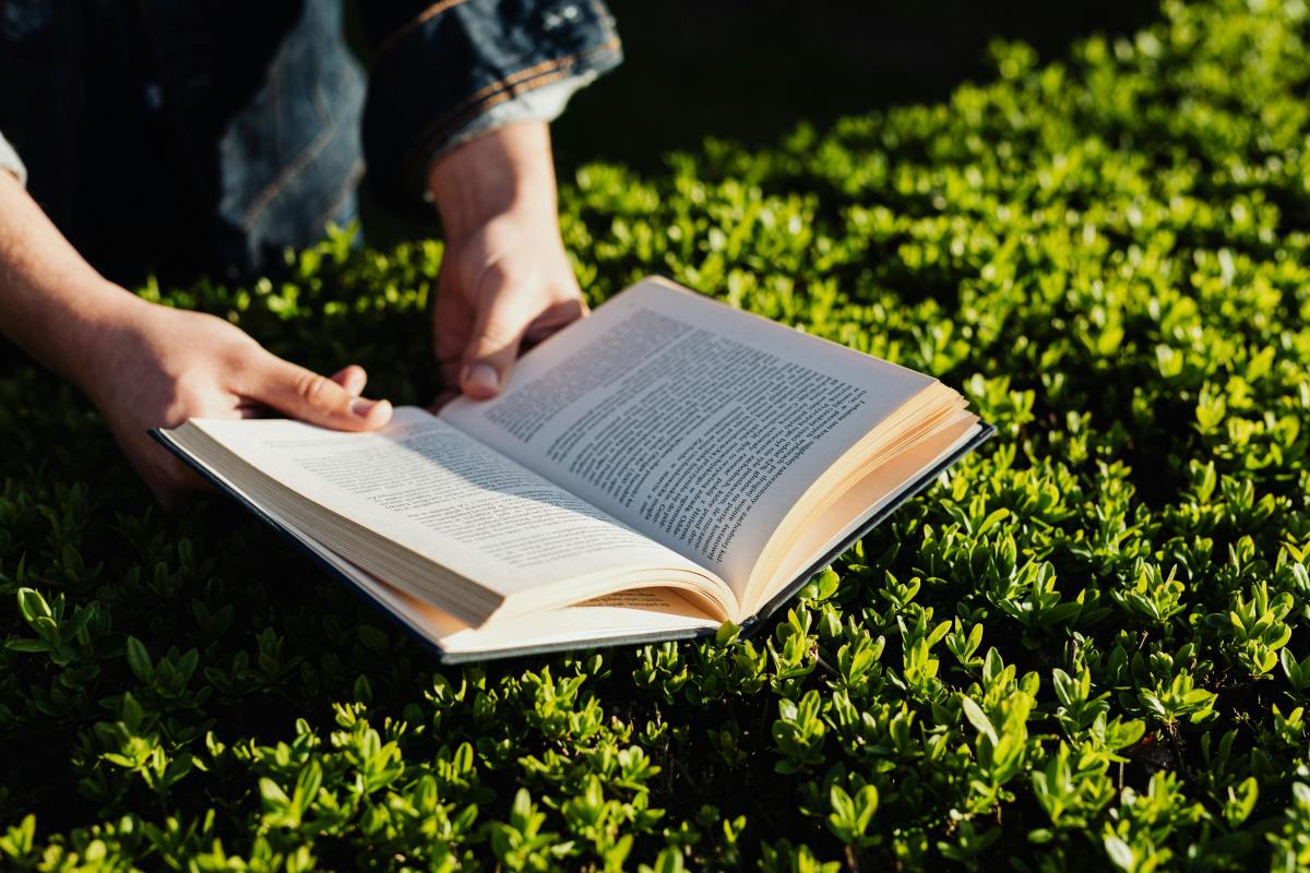 A person's hands holding a book at the park on sunny day, Photo Credit: Pexels