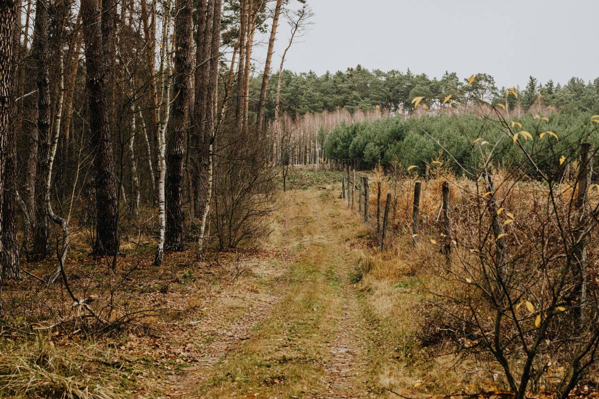 Photo Credit: Pexels