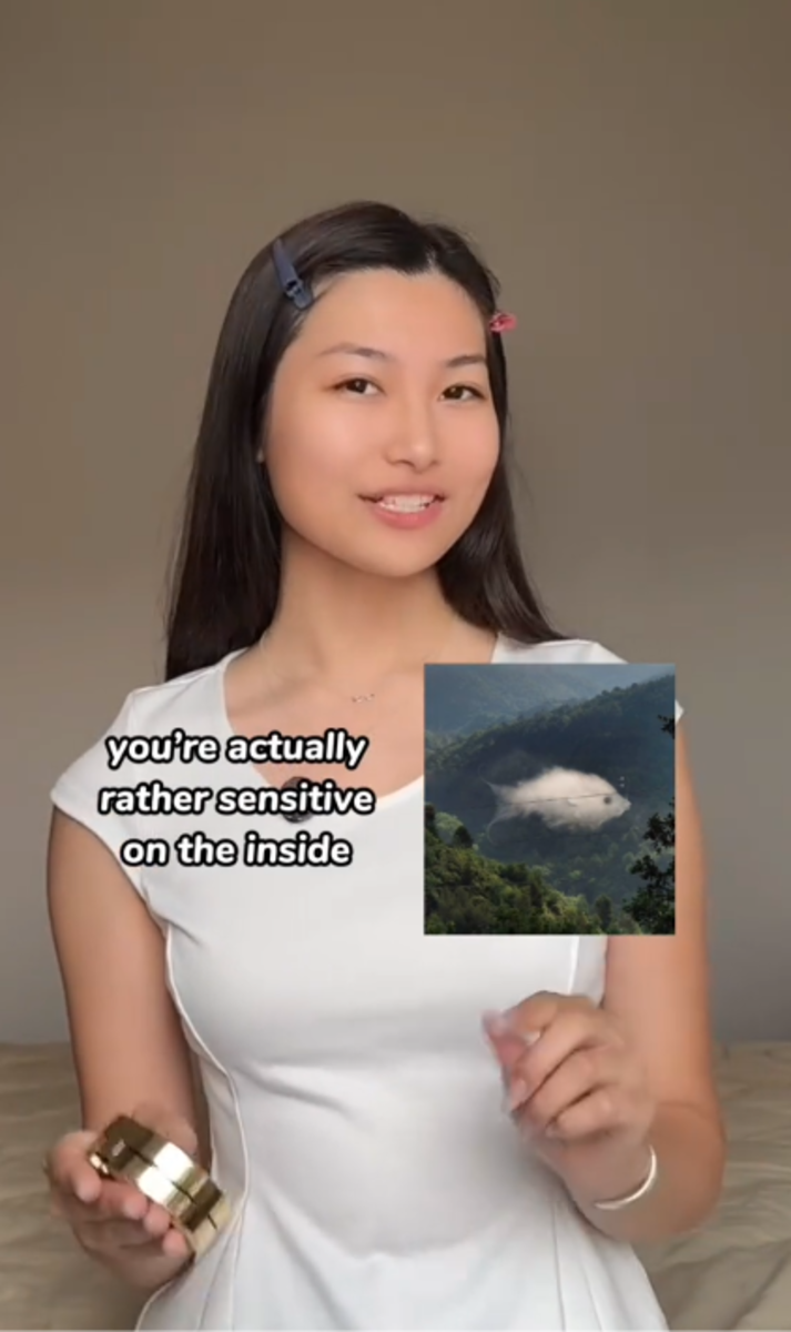 Mia Yilin speaking to the camera showing the fish/cloud optical illusion in her TikTok video, Photo Credit: mia_yilin/Tiktok
