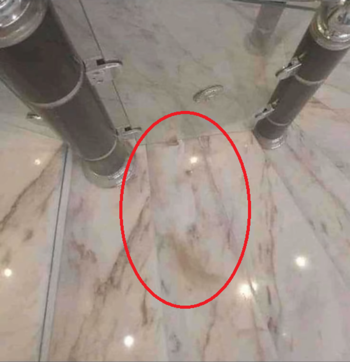 An optical illusion of a hidden cat, Photo Credit: Reddit