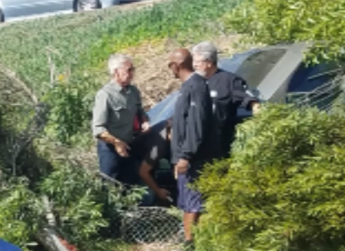 Harrison Ford talking to police officer beside a crashed vehicle, Photo Credit: 7Life/Facebook