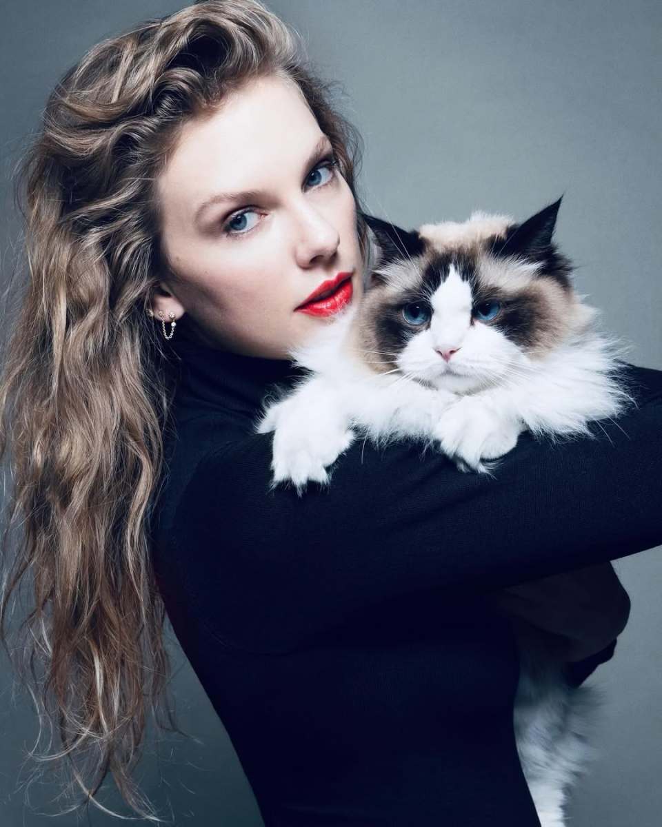 Taylor Swift holding her cat, Photo Credit: taylorswift/Instagram