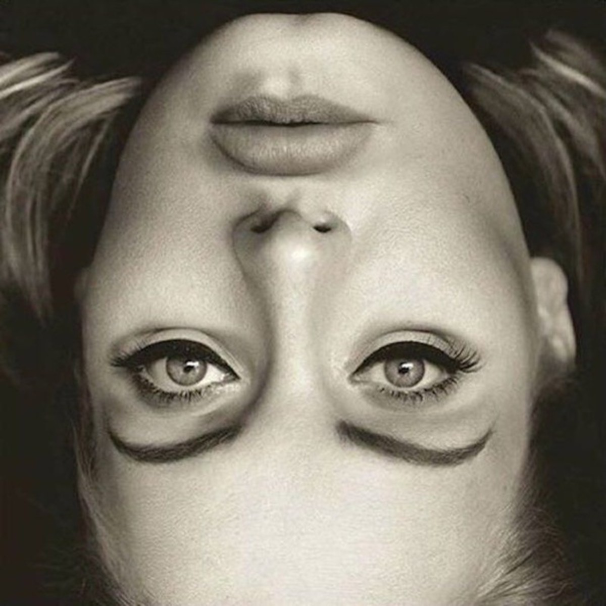 Optical Illusion of Adele's upside down photo, Photo Credit: Brian Roemmele/X