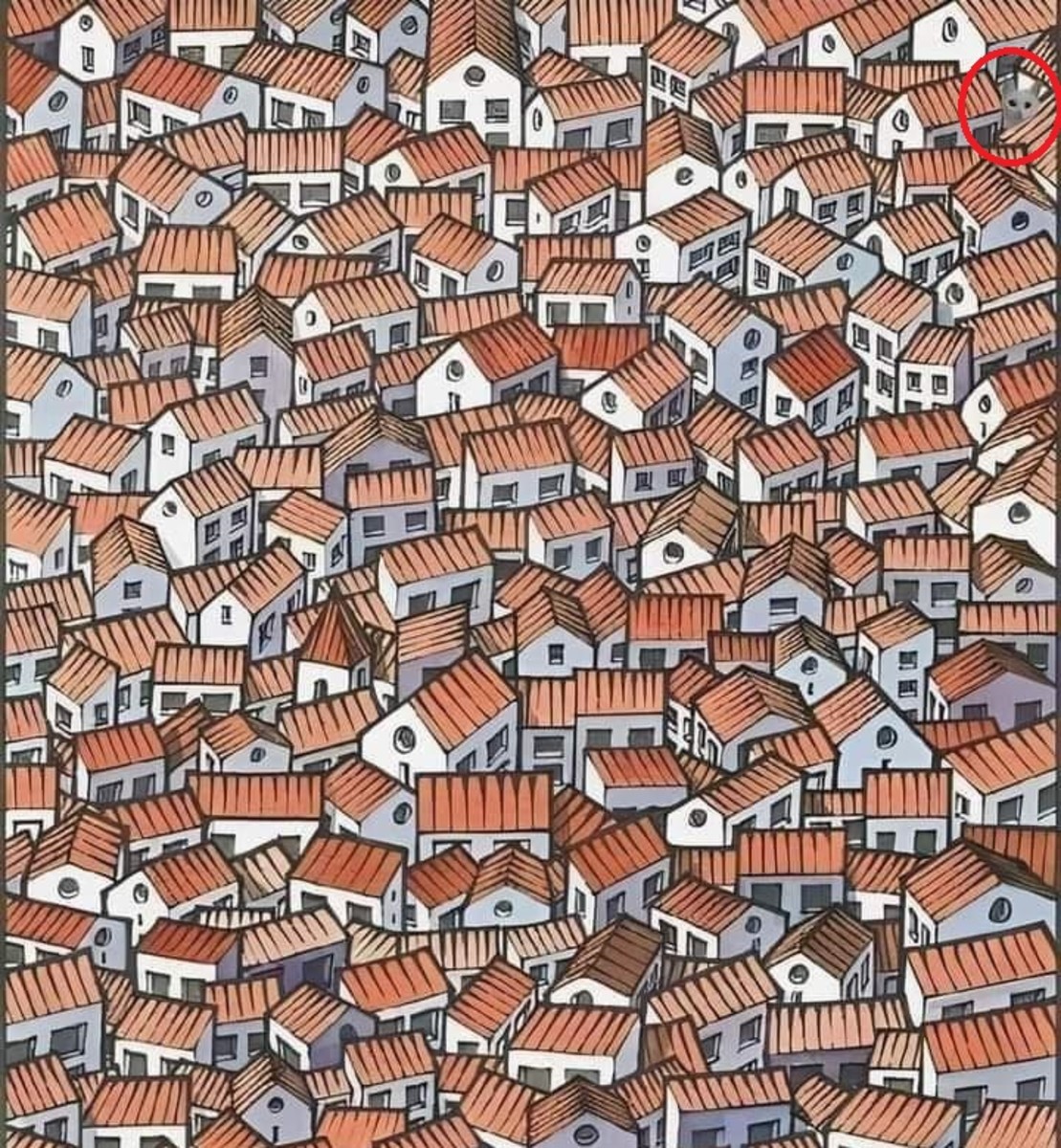 An optical illusion illustrating a village of houses with a hidden cat nestled somewhere among them, Photo Credit: Reddit