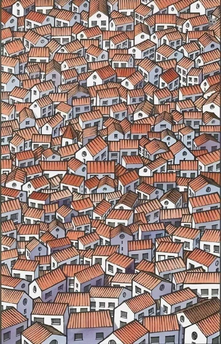 An optical illusion illustrating a village of houses with a hidden cat nestled somewhere among them, Photo Credit: Reddit