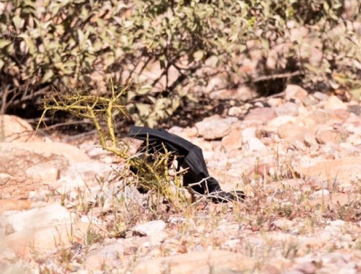 A black glove on the roadside, Photo Credit: B. Wilkins lll/X