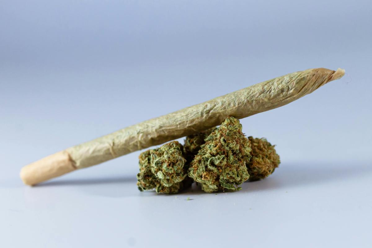 A hand-rolled cannabis cigarette on top of clumps of marijuana leaves, Photo Credit: Pexels