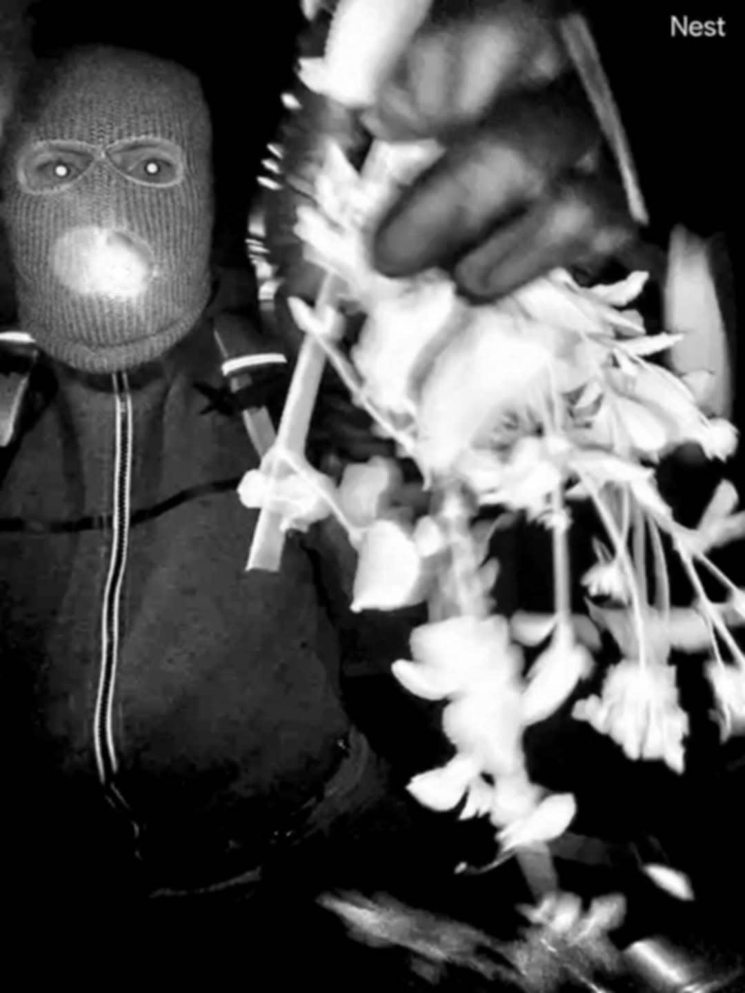 A surveillance photo of a masked individual taken from a doorbell camera at Nancy Guthrie's home, Photo Credit: savannahguthrie/Instagram