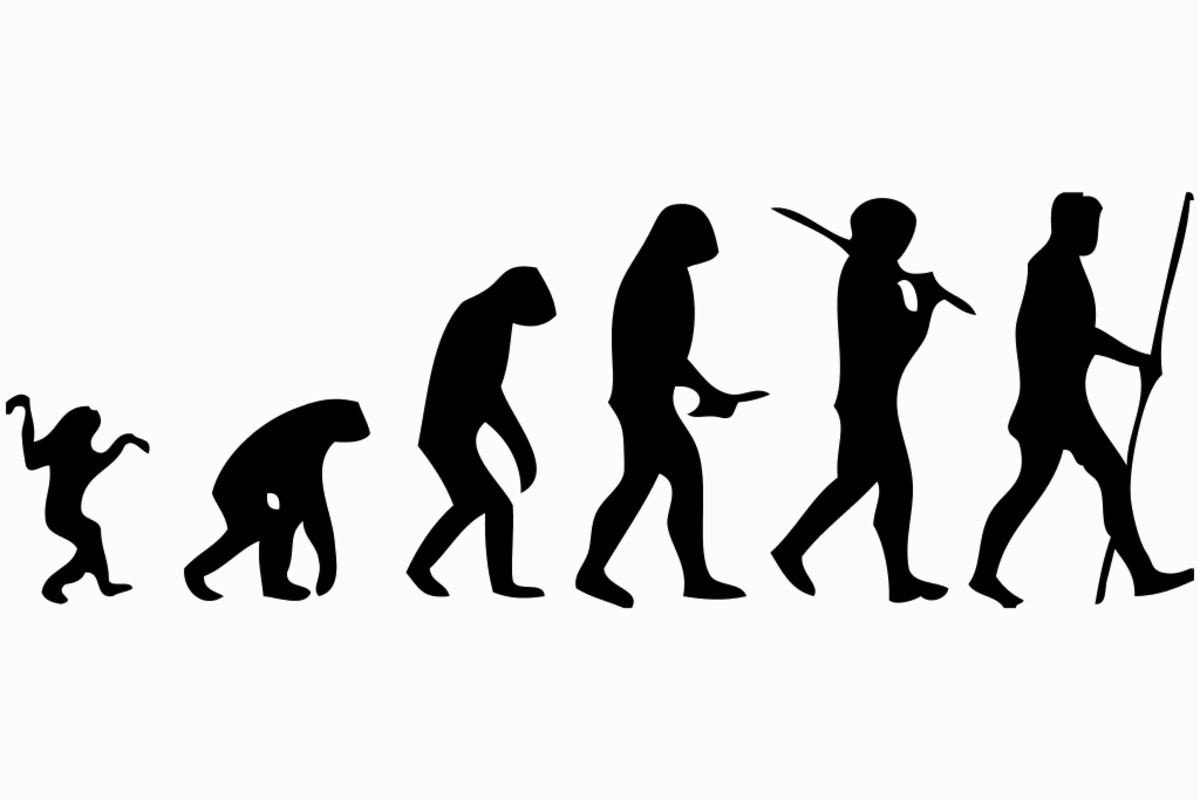 evolution of socialism The rose has long been associated with socialism, and many members of is this a new socialist movement, or a natural political evolution. evolution of socialism The rose has long been associated with socialism, and many members of is this a new socialist movement, or a natural political evolution.